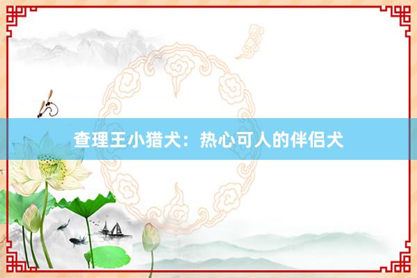 查理王小猎犬：热心可人的伴侣犬